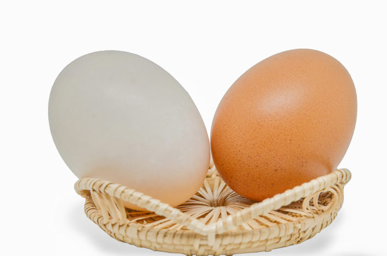 Brown Eggs V S White Eggs What S The Difference Fit Foodies Mantra   Shutterstock 608781302 768x508 